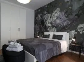 Apartments Le Rondini 1