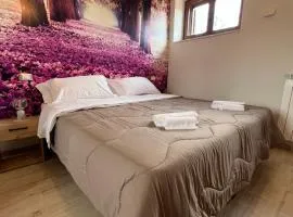 Mo'sci Rooms