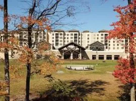 YO1 Longevity & Health Resorts, Catskills
