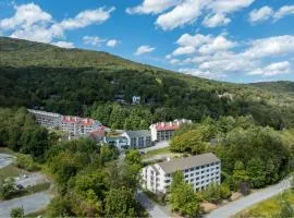 203 Village Gate condo