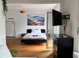 Zentrales Apartment St Gallen