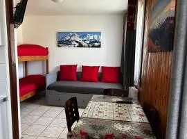 APPARTEMENT BICHE