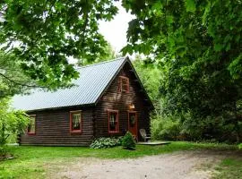 Enchanted Forest Cabin