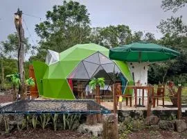 Endemic Glamping - Galápagos frontier