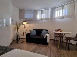 Cozy Curved-Wall Studio