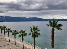 Luxury Two Bedrooms and two balcony beachfront apartment