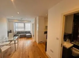Stylish one Bedroom Central Croydon