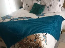 Benly's Nest