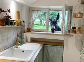 Gîte à la ferme - Animaux et séjour ressourçant