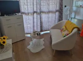 Le Cosy studio avec balcon