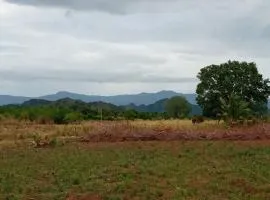 DOP Camp Site Resort