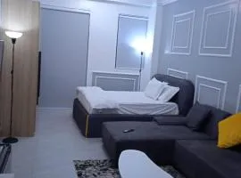 Lester's Luxe Studio Apartment