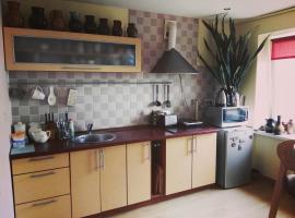 Green Hall apartment: Ignalina şehrinde bir kiralık tatil yeri