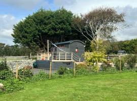 Ty'r Bugail - Shepherds Hut, hotel in Llanddwywe