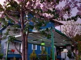 Paradise House