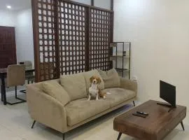Laika the Beagle's Home away from Home - Clark