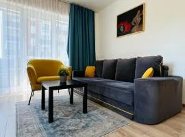 Apartment Richy Brasov