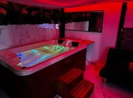 Appartement jacuzzi - Love Room
