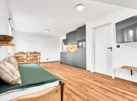 Residence Koubek - stylový apartmán 9 s parkováním