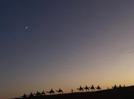 Luxury Desertcamp