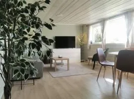 Spacious, deluxe apartment with breakfast