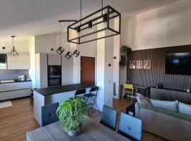 Modern Loft