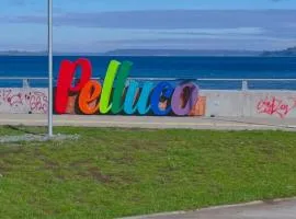 Departamento Plaza Pelluco