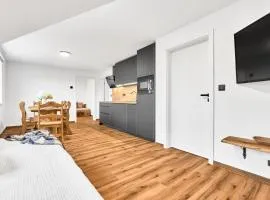Residence Koubek - stylový apartmán 10 s parkováním