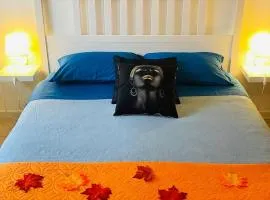 MXP Relax House