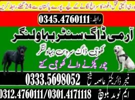 Khoji Dog Center Jhang