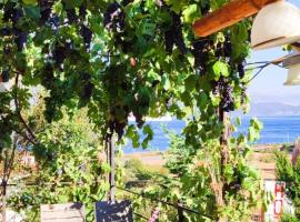 Stone dream, luxury tent in Polje