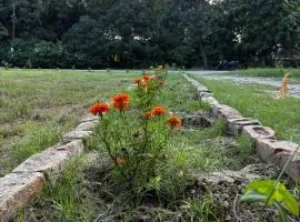 Prakriti wellness stay