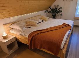 Apartmán u Ještěrky s finskou saunou