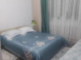 Аkmaral Home