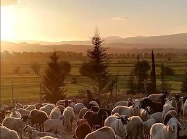 Grandpa's Farm ضيعة جدّي, Hotel in Nebeur