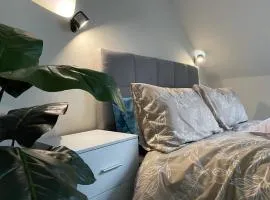 Spacious Private Room - Free Parking