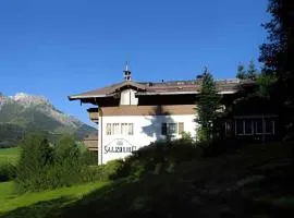 Apartments in Dienten am Hochkönig 225