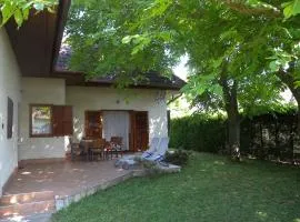 Holiday home Vonyarcvashegy - Balaton 31295