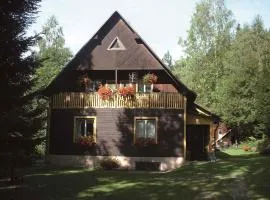 Holiday home in Dolni Dvur 2374