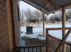 Cabaña La 40 "Relax y descanso en zona de chacras", country house in Buta Ranquil