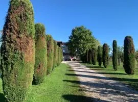 Agriturismo Corte Bonetti - Appartamento Il Salice