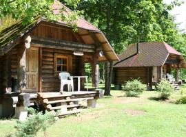 Kempings Sniedzes, holiday rental in Ķegums