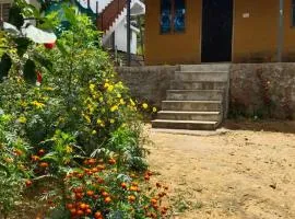 BREEZE GARDEN MUD HOUSE Home Stay