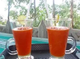 Himansa Homestay