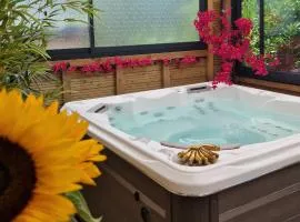 Résidence belle créole I Le Balisier I Maison duplex avec jacuzzi à 15min de Disneyland Paris