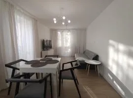 Cozy newly renovated