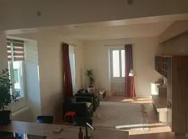 magnifique T4 centre bayonne