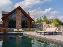Heating pool villa with forest view, hot tube, cinema and PlayStation