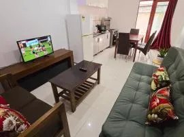 CBD Entire Apartment 102