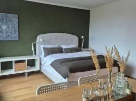Gemütliche 2 Zimmer Wohnung, 300m vom Zentrum